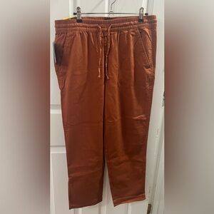 GAP Women's Rust Ankle Pants